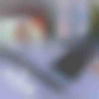 Слънцезащитна щора за автомобил и прозорец | SUNGUARD