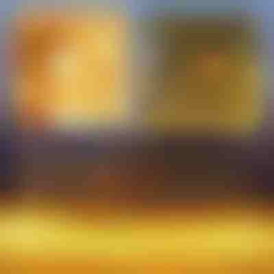 (3x2M) Празнична LED светлинна мрежа | LUMONET