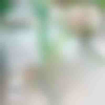 Спирачка за падане на растения | ROOTZI