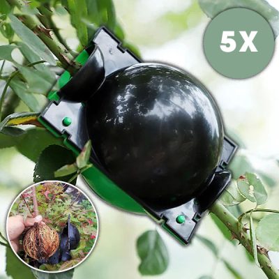 Кутия за размножаване за здрави корени (5 броя) | ROOTY