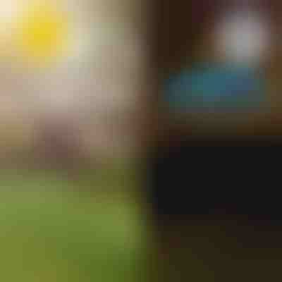 Соларни тропически градински светлини | LUMIPALM