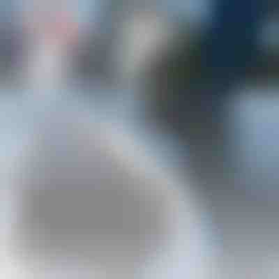 Силиконови калъфи за обувки | SHOESAVER